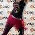 Blurred Lines Robin Thicke T I Pharrell Williams Zumba Zumba Gold