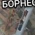 Тропический релакс или спокойствие конгломерата оголенных проводов BorneoSafari Spalnik4x4