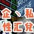 閉關鎖國 私人不換匯 私企換匯限制