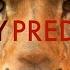 Deddy Predator Feat Gary Yourofsky Lyrics Video