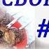 СБОРНИК ШАНСОНА ПОД ШАШЛЫЧОК 4 COLLECTION OF CHANSON UNDER THE SKEWER 4