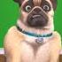 Paws For Thought Mighty Mike 55 Compilation Cartoon For Kids
