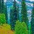 HEAVEN ON EARTH KASHMIR Kashmir Valley Viral Kashmiri Pahalgham Gulmarg Sonamarg Kashmirvalley Valey