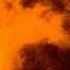 Dark Muse Deep Sea Tomorrow Dark Ambient