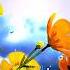 Tu Dil Tu Yu Jaan Meri Emotional Stutas Missyou Short