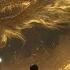 DRAGON ASCENT An Ancient Chinese Orchestral Mix Music Of Serenity Power
