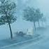 Fall Asleep Easily In 2 Minutes With Intense Hurricane Strong Wind Heavy Rain Thunder Sounds
