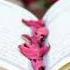 Ya Makkah HIGH QUALITY A Beautiful NASHEED Makkah Madina Naatsharif