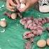 Cute Baby Rabbit Rabbit Shorts Animals
