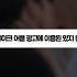 딥페이크 어플 광고에 이용된 있지 유나