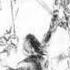 The Curse Of Fëanor