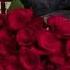 AD GUNUMDU DOSTLAR TODAY IS MY BRITHDAY