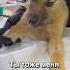 Ты тоже меня пролистаешь