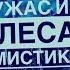 Аудиокнига мистика ЛЕСНОЙ УЖАС