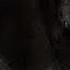 Spike N Shadow Sassin SCP Containment Sass Breach