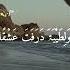 Raqqat Aina Ya Shoqan Assalamu Alayka Ya Rasool Allah Arabic Naat Mehar Zain MZ Guide
