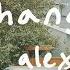 Change Alex G Unofficial Music Video