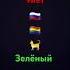 меня зовут Кира