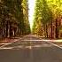 Road Trip Electronic Mix DOWNLOAD LINK