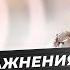 Как сделать звучание голоса более нежным Эффективные упражнения для голоса Мария Русс