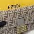 Fendi FF Canvas Bag