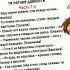 Загадки из журнала Мурзилка часть 2 я Shorts