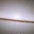 SIRIUS Extended EYE IN THE SKY ALAN PARSONS PROJECT