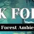 DARK FOREST Ambience And Music Sounds Of Dark Misty Forest With Ambient Music 1 Hour