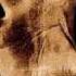 System Of A Down Peephole