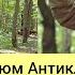 Костюм антиклещ из ткани хлопок летний костюм против насекомых костюм от Комаров