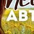Автоледи Песня о любви измене предательстве музыка для души песни для настроения Неделько Mp4