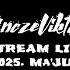 Mainstream LIVE MIX 2025 05 Hó By Vinczeviktor