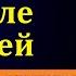 Радость и доверие Богу в страданиях В П Бальжик МСЦ ЕХБ