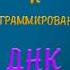 Активация и программирование ДНК на исцеление