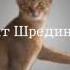 Как Избавиться от Кармы за 15 мин