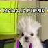 MAMA JA PUPSIK