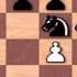 Judit Polgar S Best Games Vs Alexey Shirov