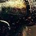 SVRCINA Ft Tommee Profitt Tomorrow We Fight GMV Lyrics