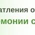 Впечатления о курсе В гармонии с едой