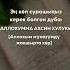 АльхамдулиЛляхи раббиль алямин Rek