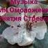 Красивая Индийская Музыка Для ОМОЛОЖЕНИЯ СНЯТИЯ СТРЕССА