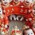 Cutest Baby Naat Hasbi Rabbi Jallallah