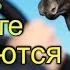 А мне по барабану Направо хочу