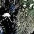 BLACK HEROIN GALLERY His Beautiful Darkness