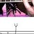 Hotel California Guitar Solo Lesson Note For Note With Tabs