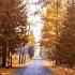 Bakhtin Дорога домой