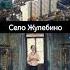 Село Жулебино