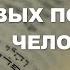 Книга Бытие Сотворение человека и жизнь первых поколений Библия Толкование Библии Ветхий Завет