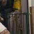 Cream Pie Prank Gentleman S Chill Day Turns Creamy Chaos WooGlobe