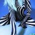 Bebe Rexha Baby I M Jealous Audio Feat Doja Cat